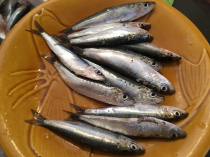 la-boi%cc%82tes-a-sardines-et-les-sardines