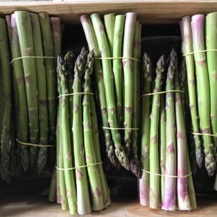 Asperges vertes de Mallemort Didier Ferreint