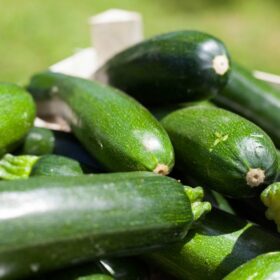 courgettes-1024x683