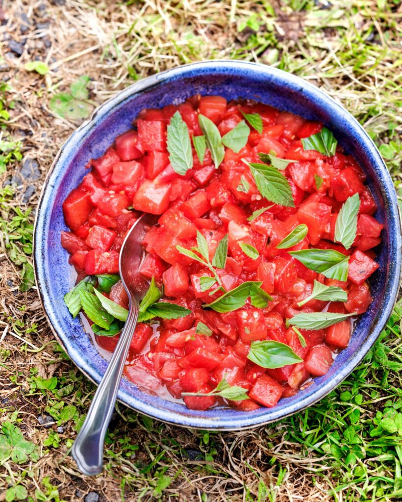 L’image actuelle n’a pas de texte alternatif. Le nom du fichier est : tartare-pasteque.jpeg