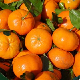 clementines-318210_1280