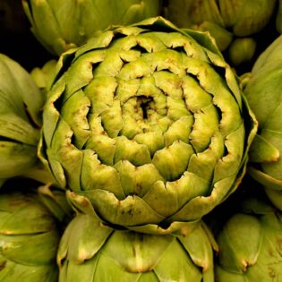 pexels-bridgette-lynn-3140757-7585563