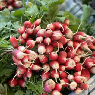 pexels-planka-24783884