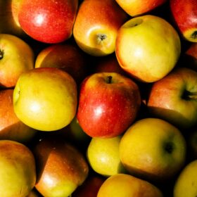 pomme